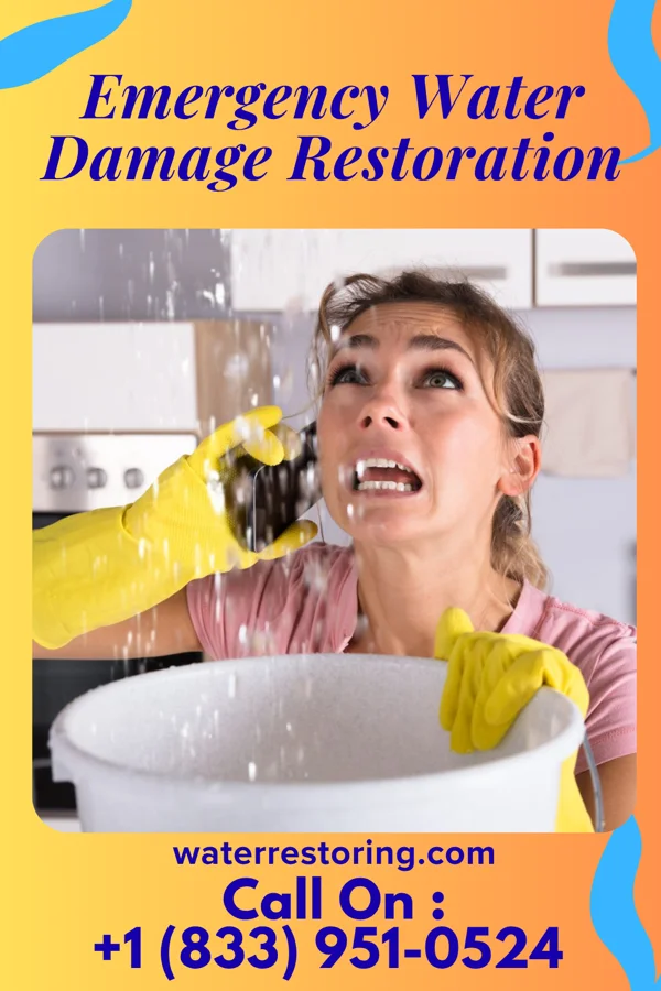 Emergency Water Damage Restoration in Nichols, SC